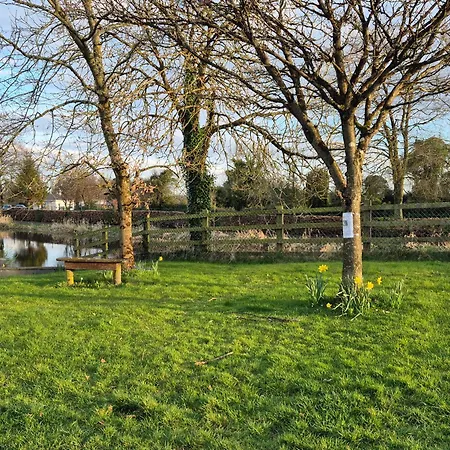 The مولينجار