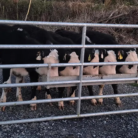 شقة The مولينجار