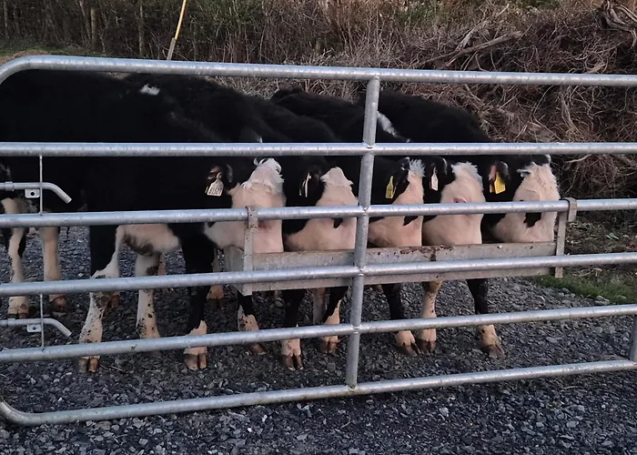 Appartamento The Mullingar